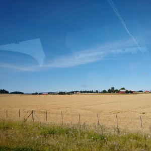 IMG_20150814_094645349