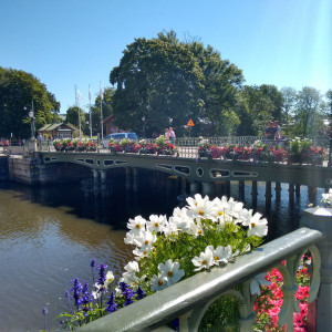 IMG_20150814_123428351_HDR