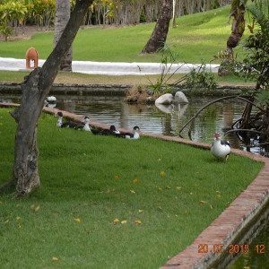 DSC_0017