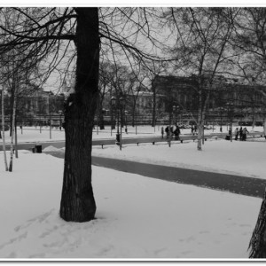 IMG_2205