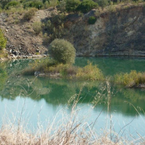 Alentejo 2011 083 [800x600]