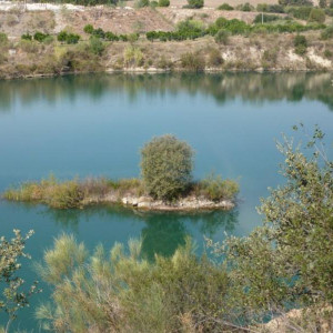 Alentejo 2011 101 [800x600]