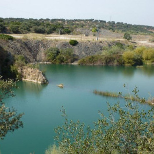 Alentejo 2011 103 [800x600]