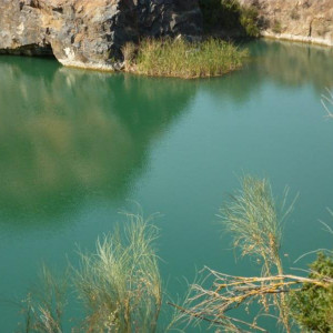 Alentejo 2011 106 [800x600]
