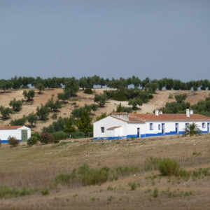 Alentejo 2011 110 [800x600]