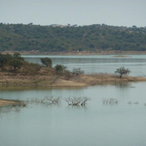 Alentejo 2011 123 [800x600]