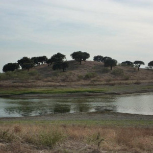 Alentejo 2011 176 [800x600]