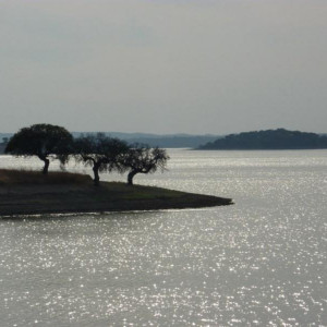 Alentejo 2011 177 [800x600]