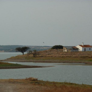 Alentejo 2011 180 [800x600]