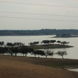 Alentejo 2011 196 [800x600]