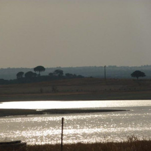 Alentejo 2011 208 [800x600]