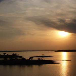 Alentejo 2011 240 [800x600]