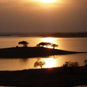 Alentejo 2011 252 [800x600]