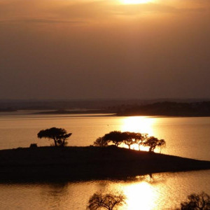 Alentejo 2011 254 [800x600]