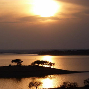 Alentejo 2011 256 [800x600]