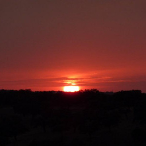 Alentejo 2011 260 [800x600]