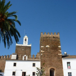 Alentejo 2011 283 [800x600]