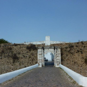 Alentejo 2011 361 [800x600]