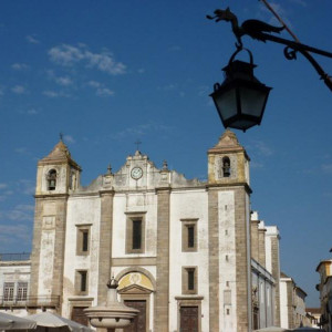 Alentejo I 2011 094 [800x600]