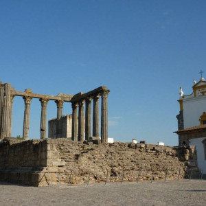 Alentejo I 2011 098 [800x600]