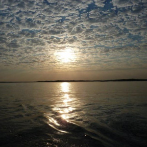 Alentejo I 2011 382 [800x600]