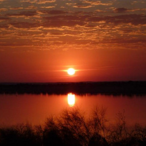 Alentejo I 2011 402 [800x600]