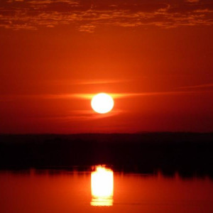 Alentejo I 2011 404 [800x600]