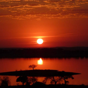 Alentejo I 2011 407 [800x600]