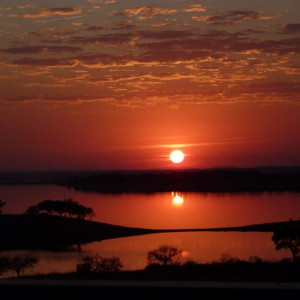 Alentejo I 2011 409 [800x600]