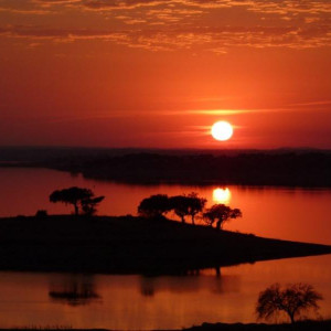 Alentejo I 2011 410 [800x600]