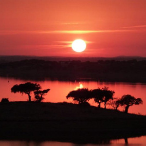 Alentejo I 2011 411 [800x600]