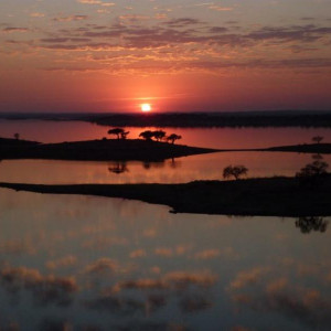 Alentejo I 2011 415 [800x600]