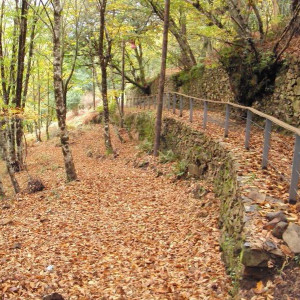 Gondramaz VIII