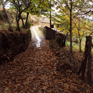 Gondramaz XIII