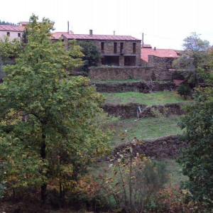 Gondramaz XIV