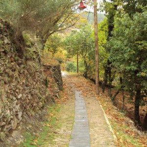 Gondramaz XIX