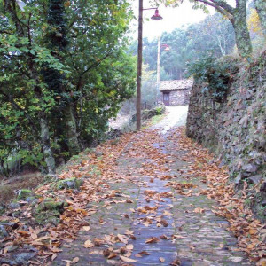 Gondramaz XVI