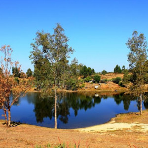 ALQUEVA 2 097