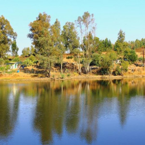 ALQUEVA 2 103