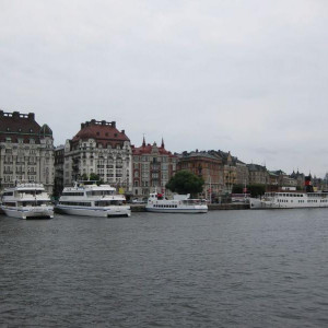 IMG 0285