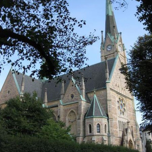IMG 0493