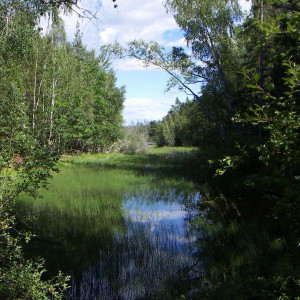 STENSJ~1
