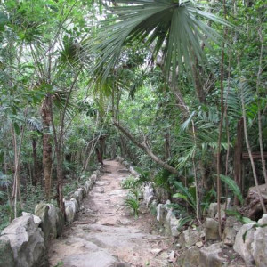 cenote Aul 1 (600x800)