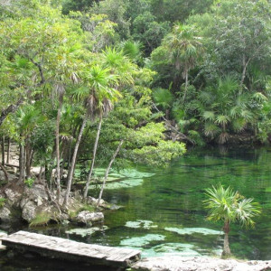 cenote azul (2) (800x600)