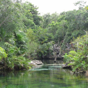 cenote azul (3) (800x600)   Cópia