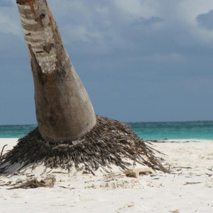 playa paraiso (2) (800x600)
