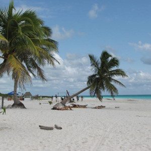 playa paraiso (4) (800x600)   Cópia