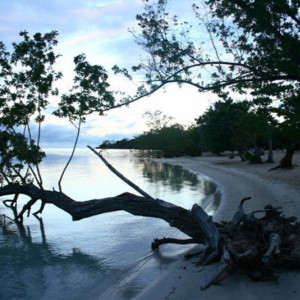 Negril - Lindo
