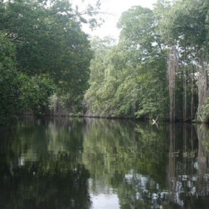 Black River