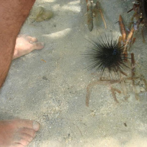Negril